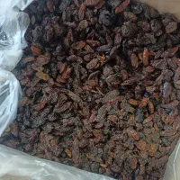 انواع کشمش ایرانی و خارجی