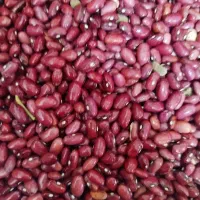 لوبیا قرمز و چیتی