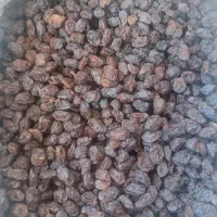 کشمش مویز