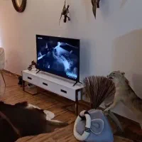 فاز c  تکواحدی ۸۴ متر دو خواب رو به نما