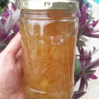 مربای بهارنارنج