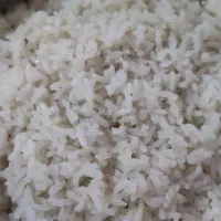 برنج