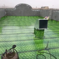 ایزوگام عامری