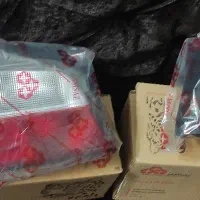 چراغ عقب پارس