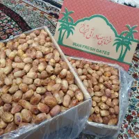 خرمای زاهدی
