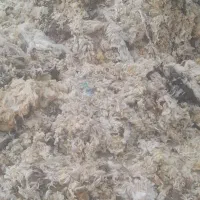 پشم گوسفندی