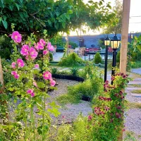 باغ تفریحی دنج