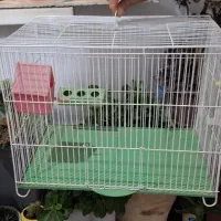 قفس پرنده