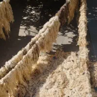 دوخت ودوز وخیاطی