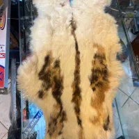 پوست خرگوش اورجینال روسی