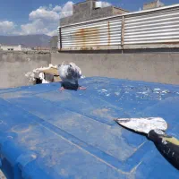 2تاکبوتر پرشی و جفتگا سار سرونج وساده مفت