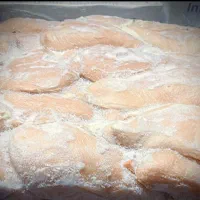 پخش عمده شنیسل