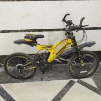 دوچرخه اصل پوما