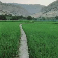 تور زیارتی و تفریحی