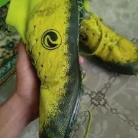 کفش