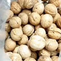 گردوی درجه‌یک پوست‌کاغذی با مغز سفید و تازه