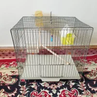قفس تک خان