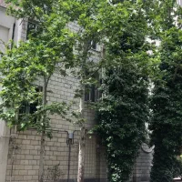 پلاک-کلنگی-مستغلات-347-متر