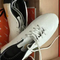 کفش استوک دار|کیف، کفش، کمربند|بوکان, |دیوار