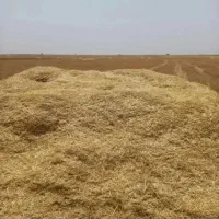 کاه