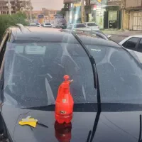 دودی ضمانتی