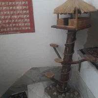 الا چیغ دکوری