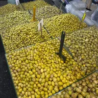 فروشنده خانوم