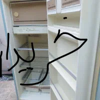 یخچال سوخته
