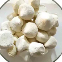 کشک گوسفندی و گاوی
