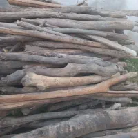 دار بو فروش