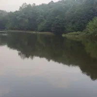زمین کشاورزی 10هکتار  با آب