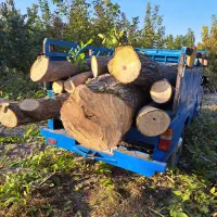 خرید چوب سپیدار و میوه ای