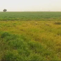 ۲۳۰۰ متر زمین باقیمت مناسب