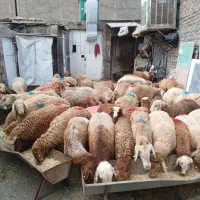 یافت اباد