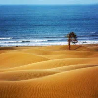 تورهای نوروزی قشم/هرمز/چابهار هندوستان ایران/یزد