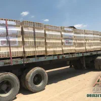 بلوک سفال و بلوک سیمانی ) آژند)