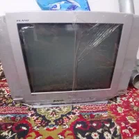 تلوزیون