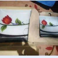 شش عددمیوه خوری با سینی