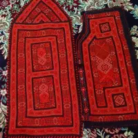 سلام زیح استین
