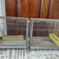 قفس سهره