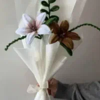 گل های برای کادو و....