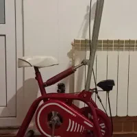 دوچرخه ثابت