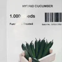 بذر خیار ۵۴۷ اصل