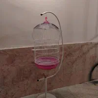 قفس پرنده