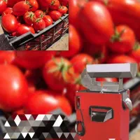 آبگیری گوجه