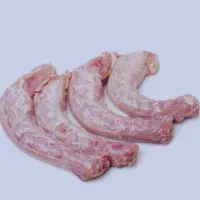 گردن چرخ کرده اسکلت باگردن با گوشی برای حیوانات