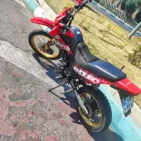 تریل رادیسون گلد ۲۵۰