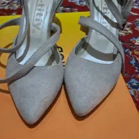 کفش مجلسی