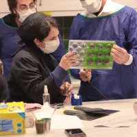 دوره شکلات‌سازی حرفه‌ای + بازارکار و مدرک/ شیراز