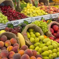 ی یک شاگرد در میوه فروشی نیازمندیم